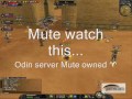 Sro Thieves Vs Hunters Pvp