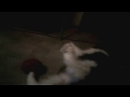 Maggy - Belly
