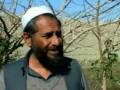 From drugs to fish farming