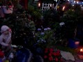 Uschi's Garden gets all lit up at Dusk...and her Carribbean tunes flow throughout the neighborhood...come in for a cocktail..and just relax...