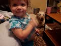 addie and puppies