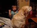 addie and puppies