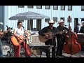 Country Music Band Travagliato Cavalli 2008 Daimon Club N.2