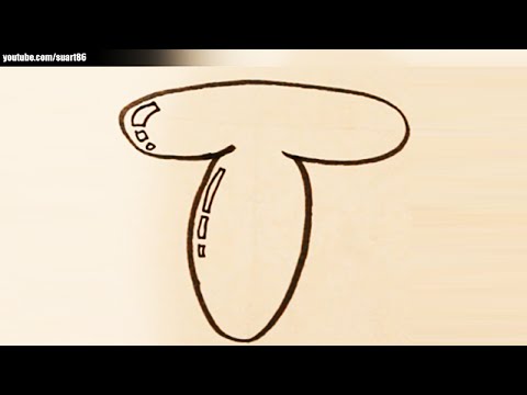 how to draw a cool letter t
