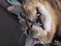 ツネオの目が半開き♪ tsuneo