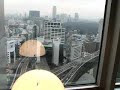 Tokyo Scenery from Akasaka Prince Hotel