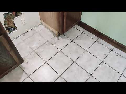 video-linktoworks-How to clean REALLY bad TILE floors! COLOR SEALING the...