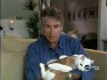 ALLERCA Hypoallergenic Cat - Nightline