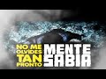 mente sabia cr� en vivo club bucarest ,
evento privilege .

http://www.myspace.com/mentesabia