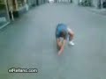 ostiones de todo tipo ostiones de todo tipo