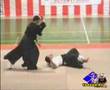 Demonstratie Takeda Ryu Aikijutsu