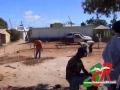 Ver Video