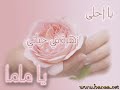 commend,Islamic,mam