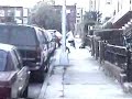 Kadeem gets jumped by lil niggaz