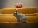 Bunny Jumping!