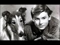 Lassie