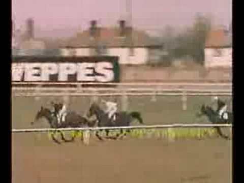 grand national betting