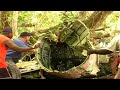 Shortland & Ballalae Aircraft Salvage