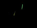 Matthew Raving vid 1