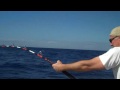 SharkByte Casa de Campo  