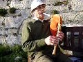 gaita galega: antonio mato