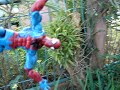 SPIDERMAN\ SPIDERMAN\