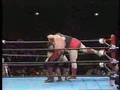 1991.12.12 SWS&WWF L.O.D VS Natural disasters②