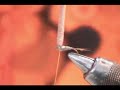 Tying a Parachute Adams Variation