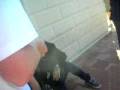 videos de mount vernon