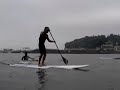 paddle surf turn free style?