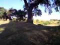 mx onda 125cc
