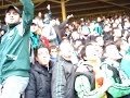 SAKARYAMIZ Bolu ma�? adapazar gol taner demirba? gol