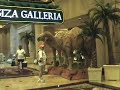 Viva Las Vegas Viva Las Vegas