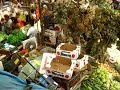 Guadalajara Central Market (Jalisco)