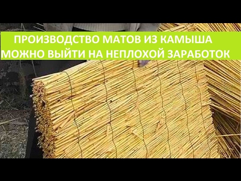 Маникюр с кошачий глаз Маникюр с кошачий глаз