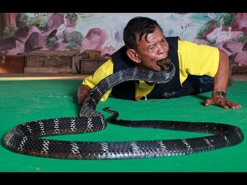 YouTube reptile video
