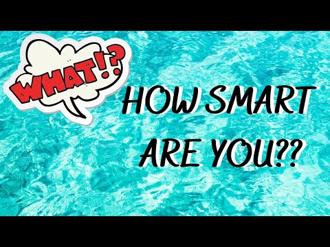video-linktoworks-What Kind Of Smart Are You?