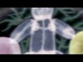 Tony Clifton circus - t'en veux - partie 4