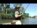 CHANNEL CATFISH  2007  last years cats