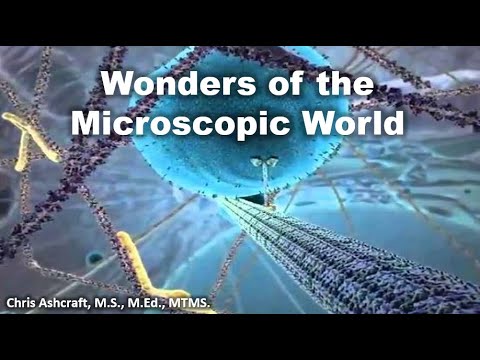 Wonders of the Microscopic World – Chris Ashcraft