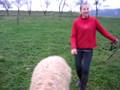 videos de Sabča a Beran Mojmír jdou z pastvy