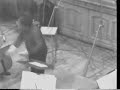 Carlos Pa�ta Beethoven 5th Symphony Part 3 and 4rehearsal