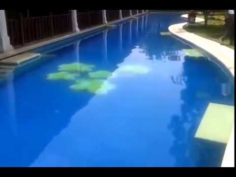 how to care for a ozone pool