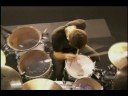 Simple Plan - La soiree du hockey