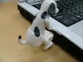 Crazy Dog USB - fucking cool