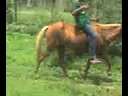 enock el jinete indomable