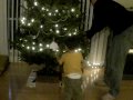 Palio decorating tree 2009