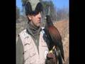 videos de trabajo campo