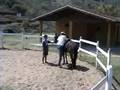 videos de Sahara da Mancha