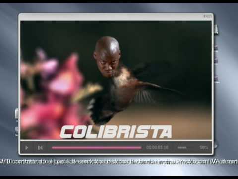 Imagen de previsualización de YouTube